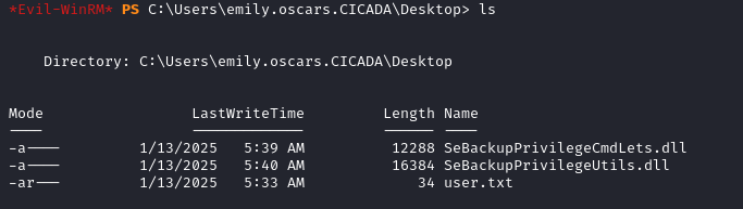 SeBackup files