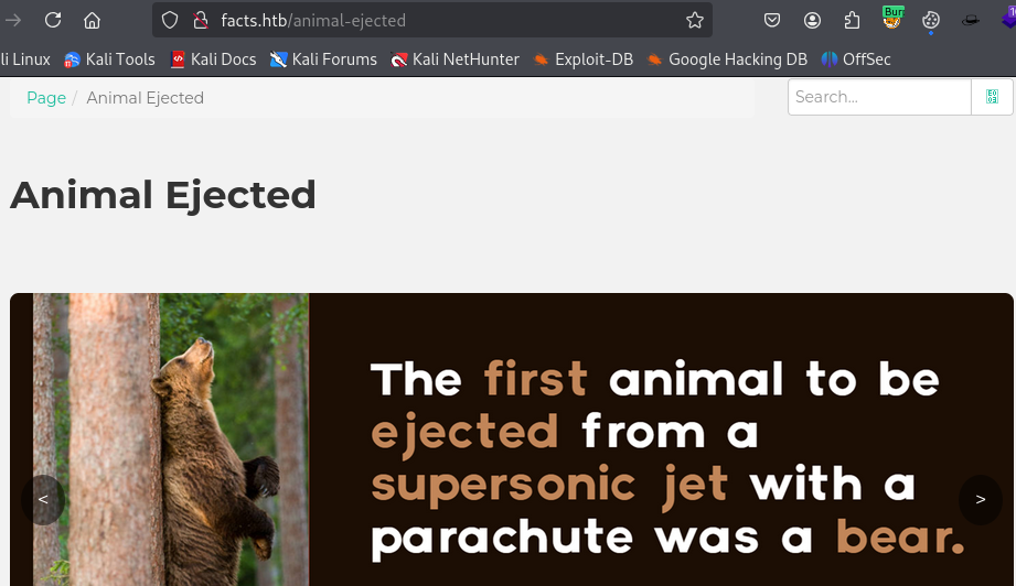 bear post