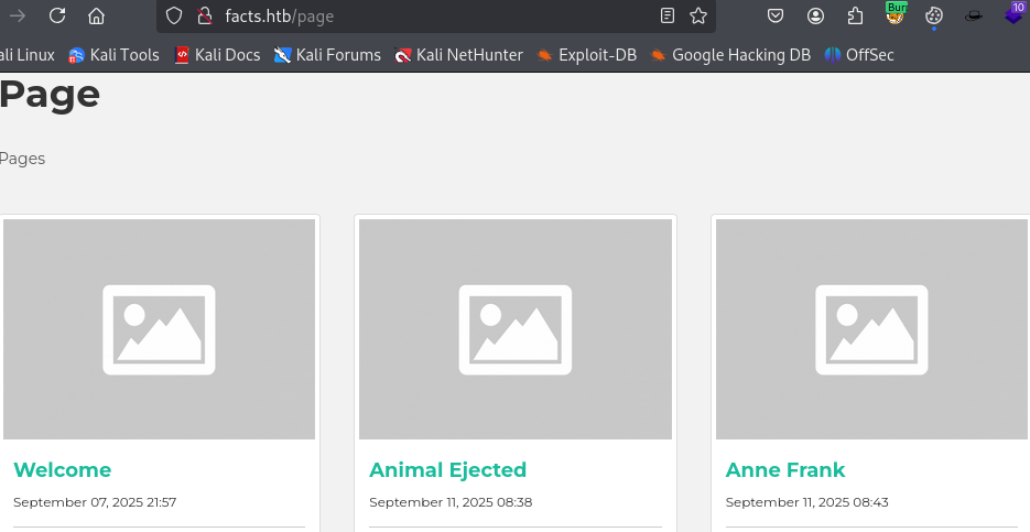 page section
