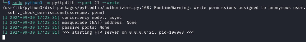 Python FTP server
