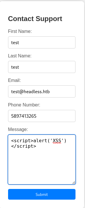 XSS attempt