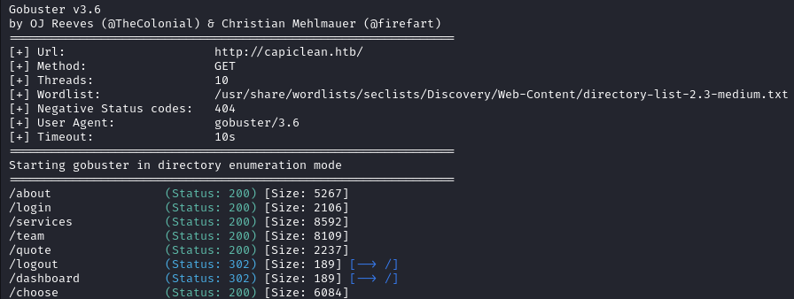 directory brute forcing