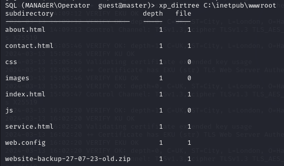 MSSQL-database-accessed