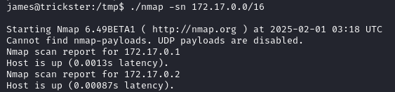 Internal nmap scan