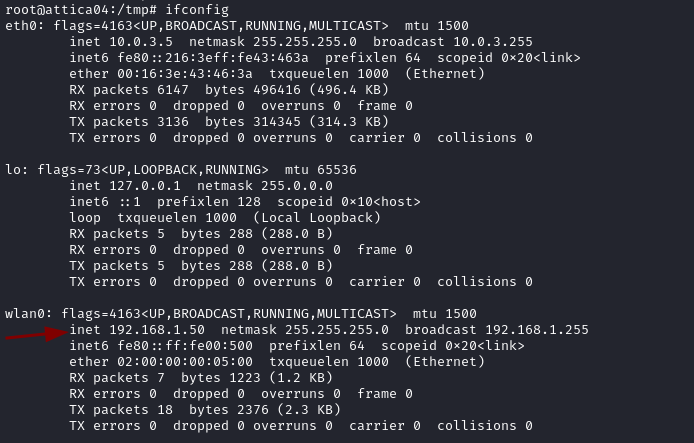 ifconfig IP address