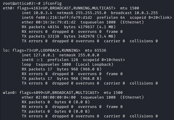 WifineticTwo ifconfig command