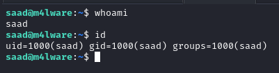 Initial foothold via SSH login