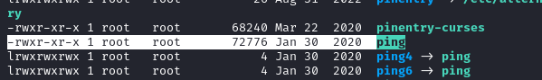 Ping binary permissions