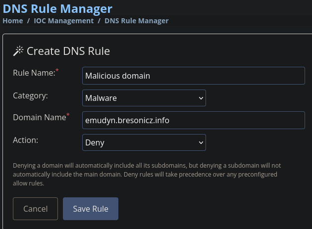 DNS Rule Manager